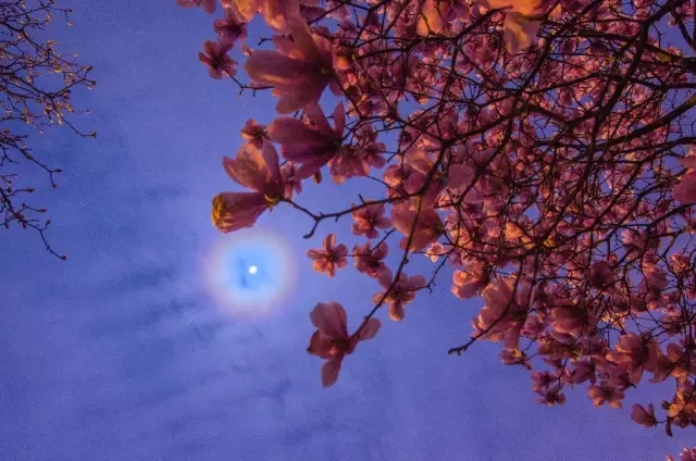 1493809621290941.jpg 640.webp.jpg