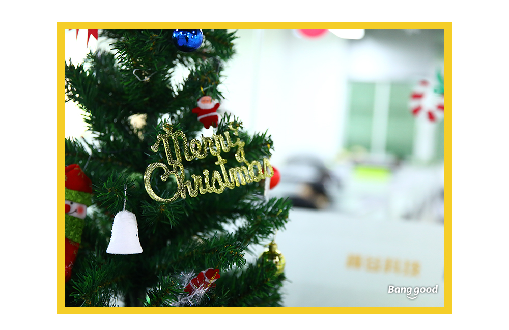 1515057916890900.jpg 8.jpg